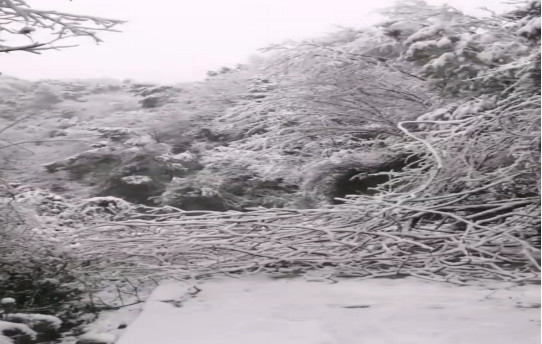 战暴雪、保供电!ky体育(中国)官方网站鸟儿巢公司应对极端天气紧急抢修失电故障 战暴雪、保供电!ky体育(中国)官方网站鸟儿巢公司应对极端天气紧急抢修失电故障